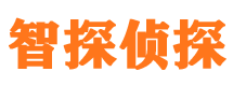 汉源市私家侦探